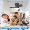 Qcyuui Plafonnier Ventilateur Noir 65 cm LED Ultra Silencieux Moteur DC Réversible Télécommande 6 Vitesses Minuterie Luminosité 