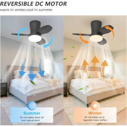 Qcyuui Plafonnier Ventilateur Noir 65 cm LED Ultra Silencieux Moteur DC Réversible Télécommande 6 Vitesses Minuterie Luminosité 