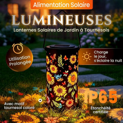 Toerjii Lampe Solaire Exterieur,IP65 Étanche Eclairage Exterieur Solaire,Lampes Solaires de jardin Colorées en forme de tourneso
