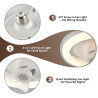Ventilateur de Plafond avec Lumiere, Ventilateur de Plafond avec Eclairage et Télécommande, 26 cm, 3 températures de couleur, mi