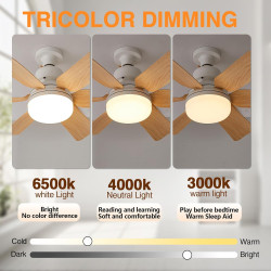 52cm Ventilateur Plafond avec Lumière E27, Plafonnier Ventilateur Silencieux 40W, Lustre Ventilateur de Plafond LED 2400lm, 3 Vi