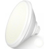 Projecteur Piscine LED PAR56, 30W Lampe Piscine PAR56 3000lm Non Dimmable, IP68 Étanche Remplie Résine Ampoule Spot pour Piscine
