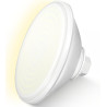 Projecteur Piscine LED PAR56, 30W Lampe Piscine PAR56 2400lm Non Dimmable, IP68 Étanche Remplie Résine Ampoule Spot pour Piscine
