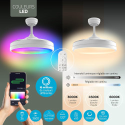 Varin® Ventilateur Plafond avec Lumiere Intelligent, Plafonnier Ventilateur Silencieux pour Chambre, Tuya Wi-Fi, LED 30W RGBW, Ø