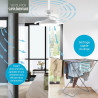 Varin® Ventilateur Plafond avec Lumiere Intelligent, Plafonnier Ventilateur Silencieux pour Chambre, Tuya Wi-Fi, LED 30W RGBW, Ø