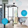 Varin® Ventilateur Plafond avec Lumiere Intelligent, Plafonnier Ventilateur Silencieux pour Chambre, Tuya Wi-Fi, LED 30W RGBW, Ø