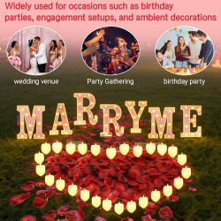 Lot de 2031 lettres lumineuses Marry Me pour décoration de demande en mariage, 2000 pétales de rose, plaque Marry Me avec 24 bou