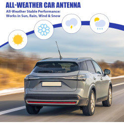 Antenne De Voiture Noire De 11 Pouces, Antenne Universelle pour Autoradio, Compatible avec Tous Les Modèles De Voiture, Étanche 