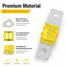 6 Pièces de Fusibles Mini ANL 20A,pour Systèmes Audio-Vidéo Marines et Véhicules Motorisés,Fusibles de Protection Électronique,C