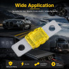 6 Pièces de Fusibles Mini ANL 20A,pour Systèmes Audio-Vidéo Marines et Véhicules Motorisés,Fusibles de Protection Électronique,C