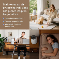LEVOIT Purificateur d'Air Chambre, Filtration Efficace contre Allergies et Odeurs, Silencieux, avec Éponge d'Aromathérapie, 7W É