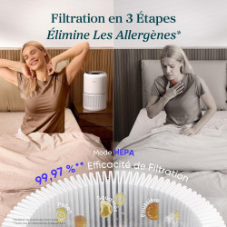 LEVOIT Purificateur d'Air Masion avec HEPA Filtre, CADR 187m³/h, 360° Purifier, 24dB Mode Veille, 100% Sans Ozone, avec 3 Vitess