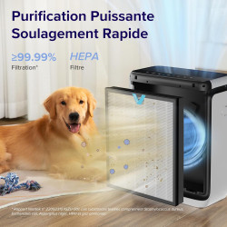 LEVOIT Purificateur d'air pour allergies avec mode animal, CADR 416 m³/h, jusqu'à 108 ㎡, pour fumeurs, double capteur et filtre 