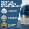 Rubson – Absorbeur d'Humidité Aero