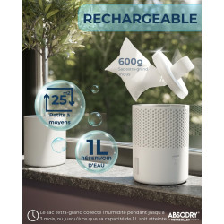 AbsoDry Duo Family - Déshumidificateur d'air anti moisissure non électrique - Absorbeur d'humidité - Pour une meilleure qualité 