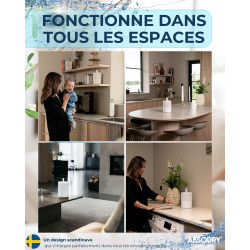 AbsoDry Duo Family - Déshumidificateur d'air anti moisissure non électrique - Absorbeur d'humidité - Pour une meilleure qualité 