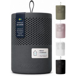 AbsoDry Duo Family - Déshumidificateur d'air anti moisissure non électrique - Absorbeur d'humidité - Pour une meilleure qualité 
