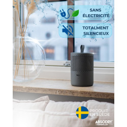 AbsoDry Duo Family - Déshumidificateur d'air anti moisissure non électrique - Absorbeur d'humidité - Pour une meilleure qualité 