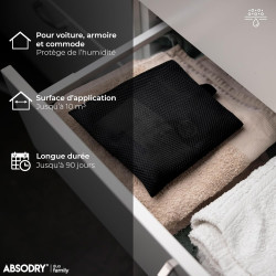 AbsoDry - Déshumidificateur d'air pour voiture non électrique - Anti moisissure et évite la vitre embuée - Absorbeur d'humidité 