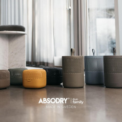 AbsoDry - Déshumidificateur d'air pour voiture non électrique - Anti moisissure et évite la vitre embuée - Absorbeur d'humidité 