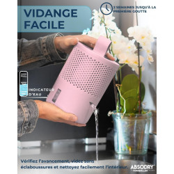 AbsoDry Duo Family - Déshumidificateur d'air anti moisissure non électrique - Absorbeur d'humidité - Pour une meilleure qualité 
