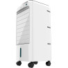 Cecotec Refroidisseur à Évaporation EnergySilence 3500 Cool Compact. 65 W, Réservoir 3,5 L, 3 Vitesses, Oscillation 70º, Roulett