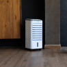 Cecotec Refroidisseur à Évaporation EnergySilence 3500 Cool Compact. 65 W, Réservoir 3,5 L, 3 Vitesses, Oscillation 70º, Roulett