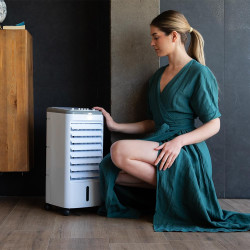 Cecotec Refroidisseur à Évaporation EnergySilence 3500 Cool Compact. 65 W, Réservoir 3,5 L, 3 Vitesses, Oscillation 70º, Roulett