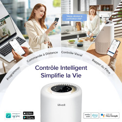 LEVOIT Purificateur d'Air Chambre Silencieux, Élimine 99.97% des Allergènes, Compatible avec APP Alexa, Programmable avec Veille