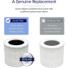 LEVOIT Filtre de rechange pour purificateur d'air HEPA 3 en 1, charbon actif à haute efficacité, noyau mini-RF blanc (Lot de 2)