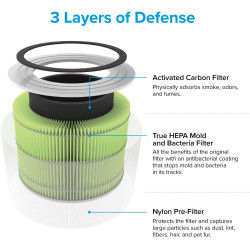 LEVOIT Filtre purificateur d'air Core 300-RF-MB