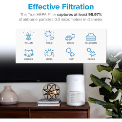 LEVOIT Filtre purificateur d'air Core 300-RF-MB