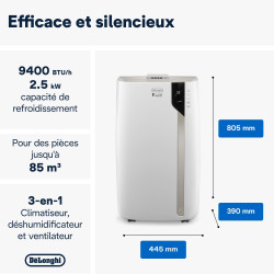 De'Longhi Pinguino PAC EX93 Climatiseur mobile, avec tuyau d'échappement, 60 dB(A), technologie Whisper - Très silencieux, pour 