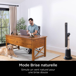 Shark TurboBlade Ventilateur colonne sans pale, Rafraîchissement multidirectionnel à haute vitesse jusqu’à 20 mètres, Discret, 1