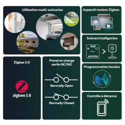 SONOFF Mini ZBD Zigbee 3.0 Relais de contact sec AC/DC compatible avec hubs Zigbee, fonctionne avec Alexa & Google Home, relais 
