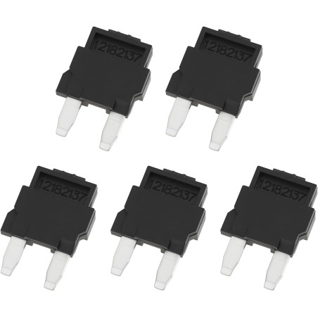 Lot de 5 Mini-fusibles Diodes 12182137 pour Circuit de Climatisation Automobile 21 X 14 Mm