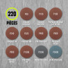 Kit Disques Abrasifs 224 Pièces Ø50 mm – Ponçage Humide et Sec, 11 Grains P80 à P3000, avec 2 Mandrins 6 mm et Interface – Idéal