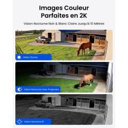 Reolink 4G LTE Caméra de Surveillance Extérieure sans Fil 4MP, Suivi Automatique 360°, Vision Nocturne Couleur, Détection IA, Ca