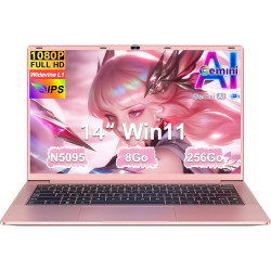 Ordinateur Portable 14 Pouces Celeron N5095 Win11 Pro 8Go RAM 256Go SSD Extension1To 5G WiFi 1920x1080 FHD PC Portable avec Sour