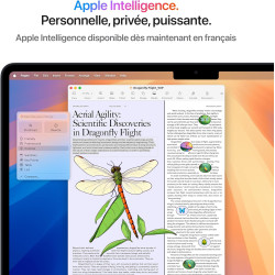 Apple MacBook Air 13 Pouces Ordinateur Portable avec Puce M4 : Conçu pour Apple Intelligence, Écran Liquid Retina de 13,6 Pouces