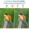 KOORUI E2412F 24 Pouces Ecran PC, FHD 1920 x 1080 100Hz Moniteur HDMI 1.4, Eye Care, inclinable de -5° à 15°, VESA 100 x 100mm