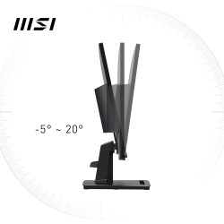MSI Pro MP251 Écran bureautique 24,5 Pouces Full HD - Dalle IPS 1920 x 1080, 100 Hz, Confort visuel, Haut-parleurs intégrés, rég