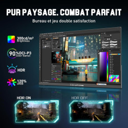 Minifire Ecran PC Gamer 24.5 Pouces,300Hz, Fast IPS, FHD 1080P, 1ms, 16:9，FreeSync, 120% sRGB, Grand Angle de Vue 178°,VESA, HDM