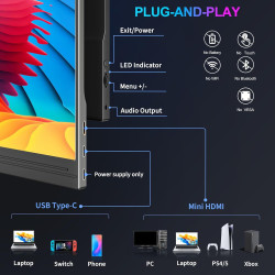 Écran portable COOLHOOD 15,6 pouces
