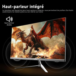 Gawfolk Écran PC 24,5 Pouces, Moniteur de Jeu pour Ordinateur 200 Hz, FHD 1080p, Haut-parleurs intégrés, 1 ms, FreeSync, 99% sRG