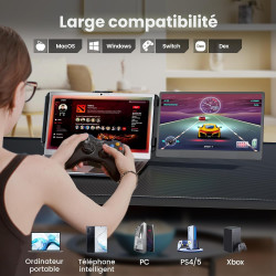 domyfan Moniteur pour Ordinateur Portable, 14 "1080P FHD Double Extension D'écran pour Ordinateur Portable, Plug and Play, pour 