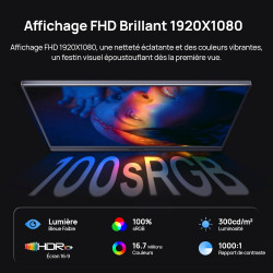 ARZOPA Ecran Portable 16,1" FHD 1080P, Moniteur Portable IPS 100% sRGB avec Pied Réglable, Affichage Ultra-Mince à Gamme de Coul