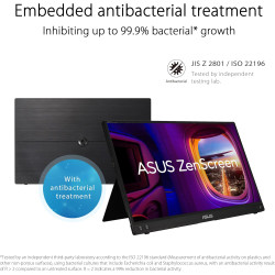 ASUS Zenscreen MB16ACV - Ecran PC portable 15.6" FHD - Télétravail ou gaming - Alimentation et affichage via USB-C ou USB-A - Da