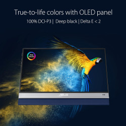 ASUS Zenscreen OLED MQ13AH - Ecran PC Portable 13,3" FHD - Télétravail ou Gaming - Alimentation Via USB-C/Micro HDMI - 1920x1080