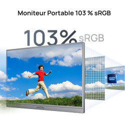 ARZOPA Écran Portable 17,3" Gris, Moniteur Portable 1080P FHD 103% sRGB IPS Gaming Écran Externe avec Pied Intégré HDMI USB-C po